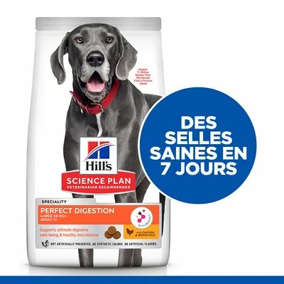 Hill's Science Plan Adult Perfect Digestion Large Pour Chien - Afbeelding 3