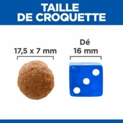 Hill's Science Plan Adult Perfect Digestion Large Pour Chien -Aanbiedingen Zooplus Winkel h195917 p364037 hills sp perfect digestion ecom thumbnails dog fr fr v26 kibble size dry lb 1