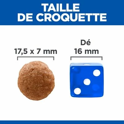 Hill's Science Plan Adult Perfect Digestion Large Pour Chien - Afbeelding 6