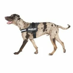 Julius K9 Harnais JULIUS-K9® Power, Anthracite Pour Chien 14 Julius K9 Harnais JULIUS-K9® Power, Anthracite Pour Chien -Aanbiedingen Zooplus Winkel juliusk9 powergeschirr anthrazit2 4