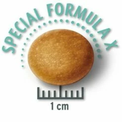 Lot Concept For Life Pour Chien 28 Lot Concept For Life Pour Chien -Aanbiedingen Zooplus Winkel largejunior krokette 7