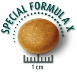 Lot Concept For Life Pour Chien 24 Lot Concept For Life Pour Chien -Aanbiedingen Zooplus Winkel largesenior krokette 8