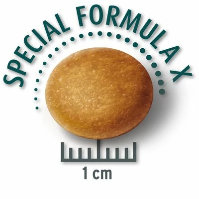 Lot Concept For Life Pour Chien 5 Lot Concept For Life Pour Chien - Afbeelding 5