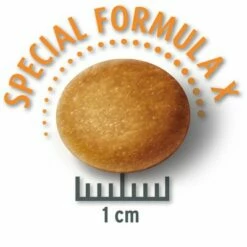 Lot Concept For Life Pour Chien 38 Lot Concept For Life Pour Chien -Aanbiedingen Zooplus Winkel mediumjunior krokette 0