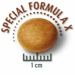 Lot Concept For Life Pour Chien 34 Lot Concept For Life Pour Chien -Aanbiedingen Zooplus Winkel mediumsenior krokette 4