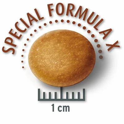 Lot Concept For Life Pour Chien 15 Lot Concept For Life Pour Chien - Afbeelding 15