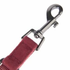 Laisse Nomad Tales Blush, Rosé Pour Chien 23 Laisse Nomad Tales Blush, Rosé Pour Chien -Aanbiedingen Zooplus Winkel nomad tales bloom halsbaender fg 1399 8