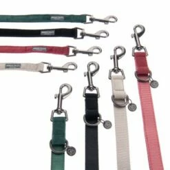 Laisse Nomad Tales Blush, Rosé Pour Chien 31 Laisse Nomad Tales Blush, Rosé Pour Chien -Aanbiedingen Zooplus Winkel nomad tales bloom halsbaender fg 1433 3