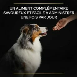 PRO PLAN Adult Natural Defences+ Supplement Comprimés Pour Chien 12 PRO PLAN Adult Natural Defences+ Supplement Comprimés Pour Chien -Aanbiedingen Zooplus Winkel pu proplan fr supplements naturaldefences dog atf m 2 2