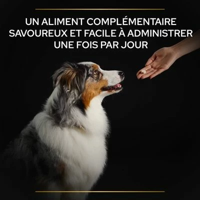 PRO PLAN Adult Natural Defences+ Supplement Comprimés Pour Chien 4 PRO PLAN Adult Natural Defences+ Supplement Comprimés Pour Chien - Afbeelding 4