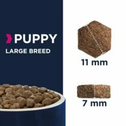 Eukanuba Puppy Large Breed Poulet Pour Chiot -Aanbiedingen Zooplus Winkel puppy large 0