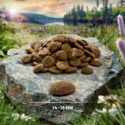 Croquettes Purizon Pour Chien 12 Kg + 2 Kg Offerts ! -Aanbiedingen Zooplus Winkel purizon hund adult chicken 14 16 mm 4