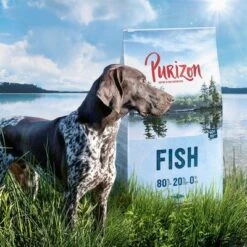 Lot Purizon 2 X 12 Kg Pour Chien -Aanbiedingen Zooplus Winkel purizon idcard fish 1000x1000 2 1 7