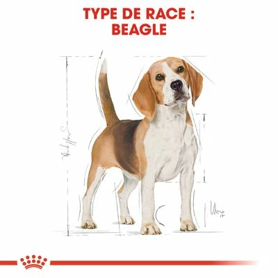 Royal Canin Beagle Adult Pour Chien 6 Royal Canin Beagle Adult Pour Chien - Afbeelding 6