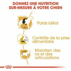 Royal Canin Beagle Adult Pour Chien 11 Royal Canin Beagle Adult Pour Chien -Aanbiedingen Zooplus Winkel rc bhn beagle cv eretailkit 3 fr fr 9