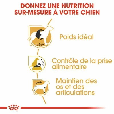 Royal Canin Beagle Adult Pour Chien 5 Royal Canin Beagle Adult Pour Chien - Afbeelding 5