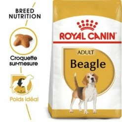 Royal Canin Beagle Adult Pour Chien