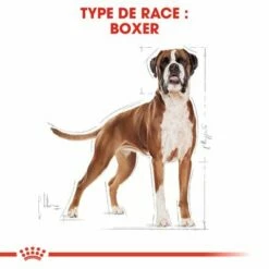 Royal Canin Boxer Adult Pour Chien 12 Royal Canin Boxer Adult Pour Chien -Aanbiedingen Zooplus Winkel rc bhn boxer cv eretailkit 1 fr fr 3