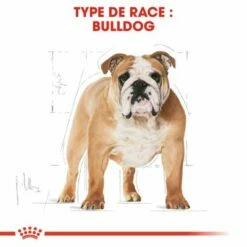 Royal Canin Bouledogue Adult Pour Chien -Aanbiedingen Zooplus Winkel rc bhn bulldog cv eretailkit 1 fr fr 4