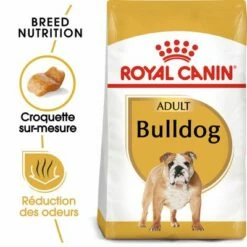 Royal Canin Bouledogue Adult Pour Chien