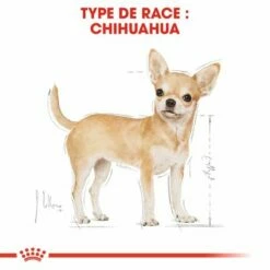 Royal Canin Chihuahua Adult Pour Chien 13 Royal Canin Chihuahua Adult Pour Chien -Aanbiedingen Zooplus Winkel rc bhn chihuahua cv eretailkit 1 fr fr 9