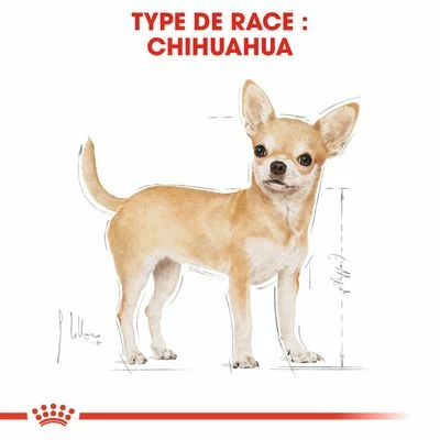 Royal Canin Chihuahua Adult Pour Chien 6 Royal Canin Chihuahua Adult Pour Chien - Afbeelding 6