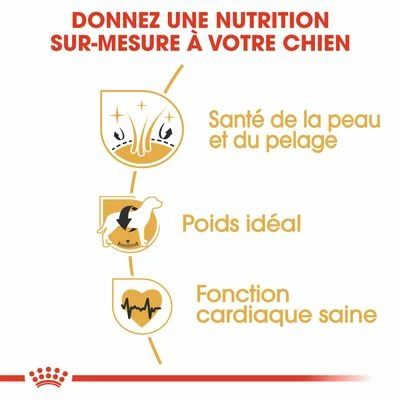 Royal Canin Cocker Adult Pour Chien 5 Royal Canin Cocker Adult Pour Chien - Afbeelding 5