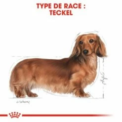 Royal Canin Teckel Adult Pour Chien -Aanbiedingen Zooplus Winkel rc bhn dachshund cv eretailkit 1 fr fr 4