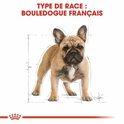Royal Canin Bouledogue Français Adult Pour Chien 6 Royal Canin Bouledogue Français Adult Pour Chien - Afbeelding 6
