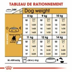 Royal Canin Bouledogue Français Adult Pour Chien 13 Royal Canin Bouledogue Français Adult Pour Chien -Aanbiedingen Zooplus Winkel rc bhn frenchbulldog cv eretailkit 5 fr fr 4