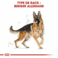 Royal Canin Berger Allemand Adult Pour Chien 12 Royal Canin Berger Allemand Adult Pour Chien -Aanbiedingen Zooplus Winkel rc bhn germanshepherd cv eretailkit 1 fr fr 2