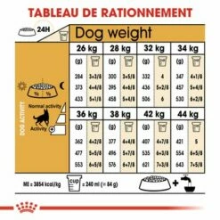 Royal Canin Berger Allemand Adult Pour Chien 13 Royal Canin Berger Allemand Adult Pour Chien -Aanbiedingen Zooplus Winkel rc bhn germanshepherd cv eretailkit 5 fr fr 1
