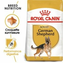 Royal Canin Berger Allemand Adult Pour Chien