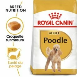Royal Canin Caniche Adult Pour Chien