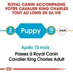 Royal Canin Cavalier King Charles Puppy Pour Chiot -Aanbiedingen Zooplus Winkel rc bhn puppycavalierkingcharles cm eretailkit 1 fr fr 0