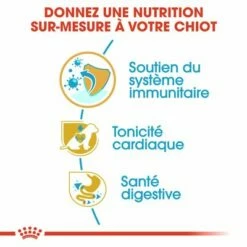 Royal Canin Cavalier King Charles Puppy Pour Chiot -Aanbiedingen Zooplus Winkel rc bhn puppycavalierkingcharles cm eretailkit 3 fr fr 5