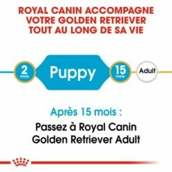 Royal Canin Golden Retriever Puppy Pour Chiot 15 Royal Canin Golden Retriever Puppy Pour Chiot -Aanbiedingen Zooplus Winkel rc bhn puppygoldenretriever cm eretailkit 1 fr fr 3