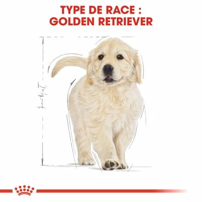 Royal Canin Golden Retriever Puppy Pour Chiot 6 Royal Canin Golden Retriever Puppy Pour Chiot - Afbeelding 6