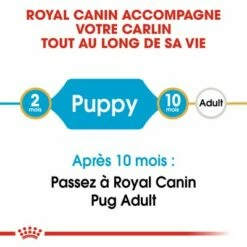 Royal Canin Carlin Puppy Pour Chiot -Aanbiedingen Zooplus Winkel rc bhn puppypug cm eretailkit 1 fr fr 5
