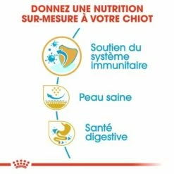 Royal Canin Carlin Puppy Pour Chiot -Aanbiedingen Zooplus Winkel rc bhn puppypug cm eretailkit 3 fr fr 4