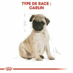 Royal Canin Carlin Puppy Pour Chiot -Aanbiedingen Zooplus Winkel rc bhn puppypug cm eretailkit 4 fr fr 5
