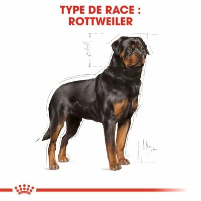 Royal Canin Rottweiler Adult Pour Chien 6 Royal Canin Rottweiler Adult Pour Chien - Afbeelding 6