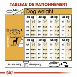Royal Canin Rottweiler Adult Pour Chien 13 Royal Canin Rottweiler Adult Pour Chien -Aanbiedingen Zooplus Winkel rc bhn rottweiler cv eretailkit 5 fr fr 8