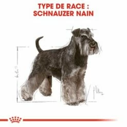 Royal Canin Schnauzer Nain Adult Pour Chien 12 Royal Canin Schnauzer Nain Adult Pour Chien -Aanbiedingen Zooplus Winkel rc bhn schnauzer cv eretailkit 1 fr fr 5