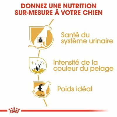 Royal Canin Schnauzer Nain Adult Pour Chien 5 Royal Canin Schnauzer Nain Adult Pour Chien - Afbeelding 5