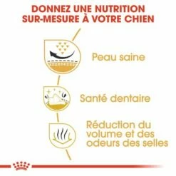 Royal Canin Shih Tzu Adult Pour Chien 11 Royal Canin Shih Tzu Adult Pour Chien -Aanbiedingen Zooplus Winkel rc bhn shihtzu cv eretailkit 3 fr fr 6