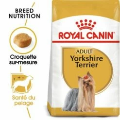 Royal Canin Yorkshire Terrier Adult Pour Chien
