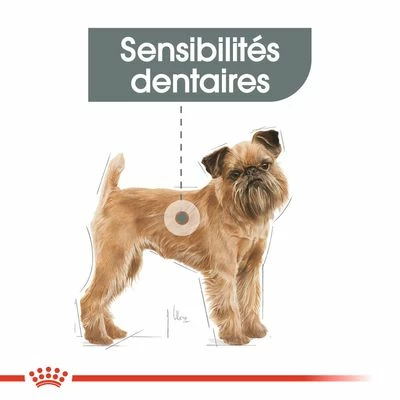 Royal Canin Mini Dental Care Pour Chien 7 Royal Canin Mini Dental Care Pour Chien - Afbeelding 7