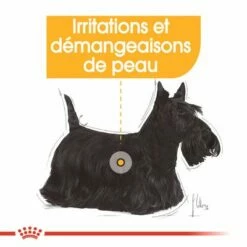 Royal Canin Mini Dermacomfort Pour Chien 13 Royal Canin Mini Dermacomfort Pour Chien -Aanbiedingen Zooplus Winkel rc ccn dermamini cv eretailkit 2 fr fr 9