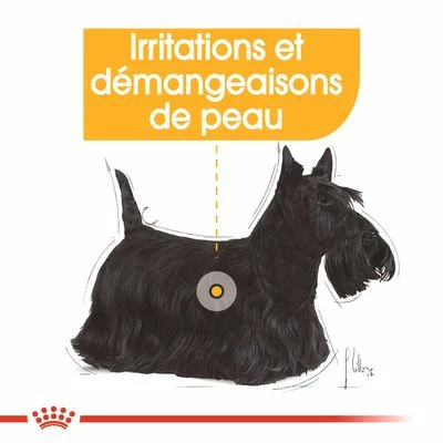 Royal Canin Mini Dermacomfort Pour Chien 6 Royal Canin Mini Dermacomfort Pour Chien - Afbeelding 6